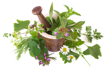 herbs