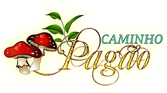 logo connect